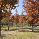 삼지수변공원 이미지