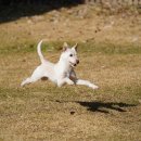 숲동물병원 이미지