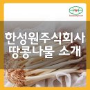 한성원주식회사 | 한성원 주식회사 땅콩나물 소개