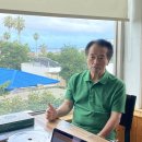 제주연안 연산호 군락지 이미지