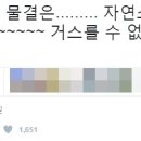 ... 이미지