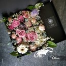 더 올림(The Ollim) 이미지