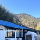 어느주택 | 경남 창녕 촌캉스 단독주택숙소 고양이들과 함께하는 감성숙소 어느주택