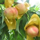 남성동019 이미지