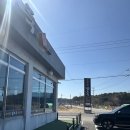 전라도밥상 | [맛집/태안] 안면도 게국지 전라도밥상 밥도둑 내돈내산 후기 애견동반O