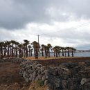 조천올레펜션 이미지