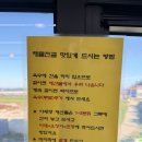 씨유 진도의신점 | 진도 쏠비치 맛집 추천 | 꽃게선장 낙지박사 솔직 후기(픽업, 샌딩 서비서까지!)