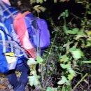 정안농장 | 정맥(錦南正脈) 6차, 07구간[널티~안골산갈림길(인증)~감토봉(인증)~가자티고개] 등산 후기(2025. 11. 09.)