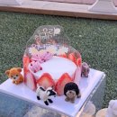 댕냥키친 이미지