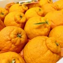 하늘이네 농장 이미지