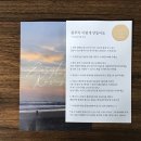 나도 만들었다 콤부차 (feat.그로서리에이치)