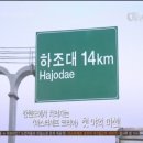 마스트 코리아 이미지