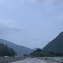 부산 여행 3박 4일 후기 울산 동래밀면 웨이브온카페...하얏트 부산 애프터눈티 센텀시티 광안리 카페오뜨
