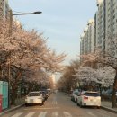 계양맛길 음식문화시범거리 이미지