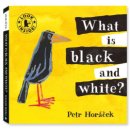 하얀돌 노래연습장 | 영어책 픽토리 빼뜨르호라체크 보드북 시리즈. 23개월 여아. 돌 전부터 아빠가 읽어주니 이젠 먼저 말해요.