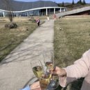 스타빌 | [육아여행] 스타빌 제주 숙소 후기, 아이와 함께하는 고급 글램핑