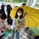 반안초등학교 이미지