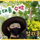 다우리 농장 이미지