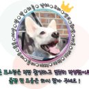 펫홈종합동물병원 이미지