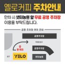 [일산 카페] 고양시 플랜테리어 대형카페 / 은행나무 명소 / “옐로 커피 YELO COFFEE” 후기