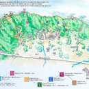 칠보산오리 이미지