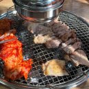 클라우드 펫 호텔 이미지