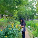 쁘띠누아쥬 | 서울숲🍀 feat. 하트시그널 임한결 카페