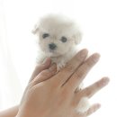 남지골프랜드 이미지