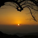 물처럼 바람처럼 이미지