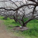 매화농업협동조합 이미지