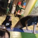 시실리민박 이미지