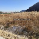 구산면600 이미지