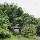 들꽃향기오두막 이미지