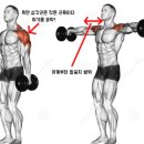 팀 스파르타짐 이미지