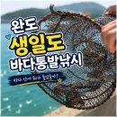 통발 - 서귀포시 | 완도 생일도 바다통발낚시 후기｜쿠팡 통발로 꽃게 잡기 도전! 결과는?