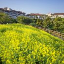 (주)고운정보통신 이미지