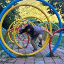 금산산림문화타운캠핑장 | 충남 금산산림문화타운 B캠핑장 b16 여름캠핑