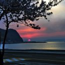 상비약(常備藥) 셋 이미지