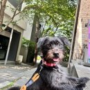 바우스쿨 이미지