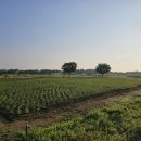 갯골생태공원 이미지