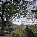 까치말사거리 남서쪽 | 성주 가볼 만한 곳 선석사와 태실문화관