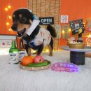 베베 애견유치원 이미지