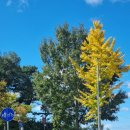 곰개나루터화장실(웅포캠핑장) | 전북 무료로 당일 자전거 대여해서 탈수 있는 곳 <익산 웅포 곰개나루터 캠핑장>