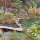 조영석행정사 네이버블로그