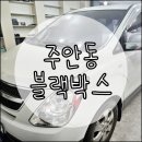 네비피아 티스토리
