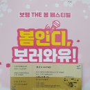 봄 인디, 보러와유 이미지