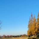 남해스크린골프장 주차장 이미지