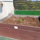 파란하늘빛어린이집 이미지