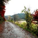 대황강 둘레길 이미지