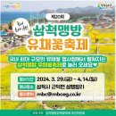 맹방유채꽃마을 이미지